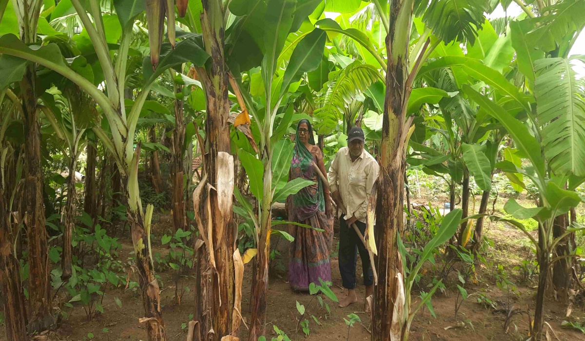 સતત મહેનતનું પરિણામ