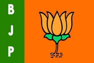 BJP MLAs Tour In Telangana