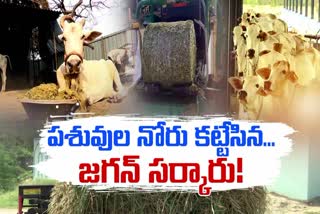 YSRCP Negligence on Cattle Welfare