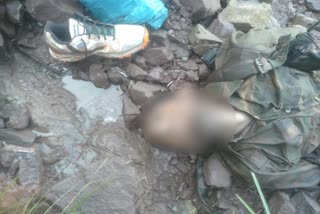 Dead body of 2nd militant found in reasi