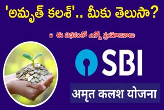 How to Apply Sbi Amrit Kalash Scheme