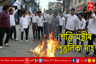 Power minister effigy burnt in Lakhimpur