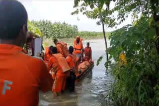 Water level dropped in Bhakra Dam, Sutlej water flowing in many villages