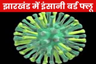 bird flu found in Jharkhand