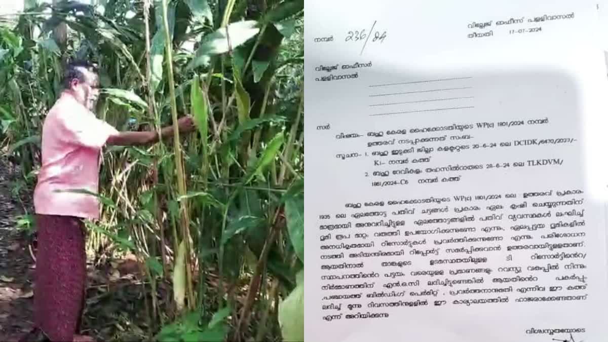 REVENUE DEPARTMENT INSPECTION  IDUKKI CARDAMOM PLANTATION  അനധികൃത നിർമാണ പ്രവർത്തനങ്ങൾ  ഏലം കൃഷി