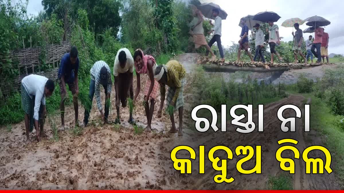 Mundapalla Village  Road Problem