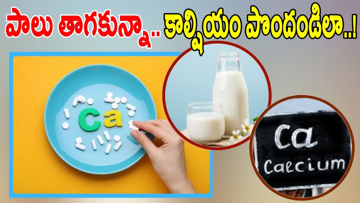 Foods That Have More Calcium Than Milk