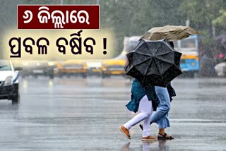 ଲଘୁଚାପ ପ୍ରଭାବରେ ଆଜି ପ୍ରବଳ ବର୍ଷା ! ଏହି ୬ ଜିଲ୍ଲାକୁ ୟେଲୋ ଆଲର୍ଟ