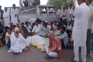 wildlife lovers blocked the road