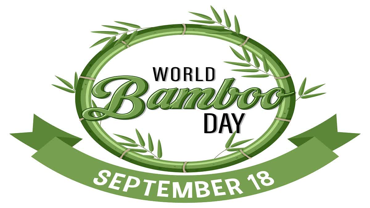 World Bamboo Day 2023