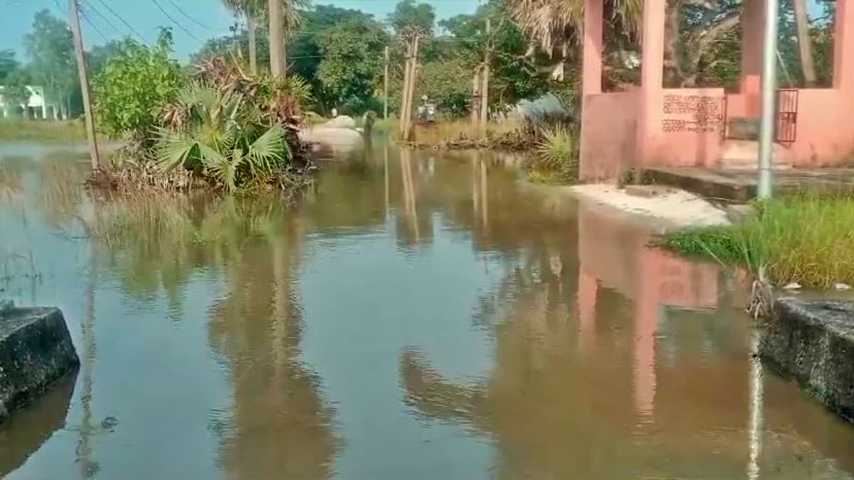 flood situation in khordha