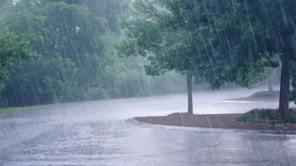 Widespread Rain Warning in Kerala
