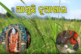 ଆସୁଛି ନୂଆଖାଇ, ଧୁମଧାମରେ ପାଳନ ନେଇ ପ୍ରସ୍ତୁତି ଜୋରଦାର