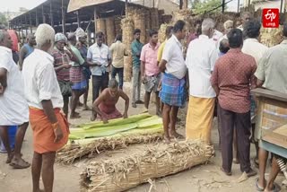 விநாயகர் சதுர்த்தியை முன்னிட்டு வாழை இலை விலை உயர்வு