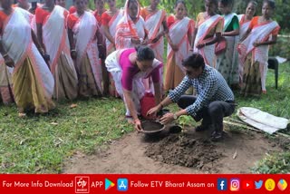 Morigaon people take part in amrit brikshya andolan