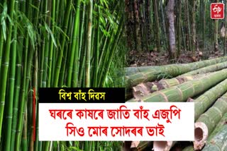 World Bamboo Day 2023