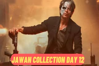 શાહરુખ ખાનની ફિલ્મ જવાન બોક્સ ઓફિસ પર ધમાલ મચાવી રહી છે, જાણો કલેક્શનનો 12મો દિવસ