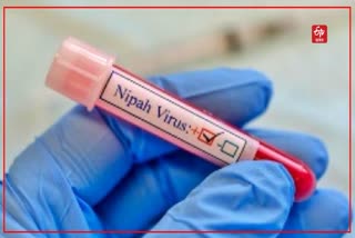 No new positive case of Nipah