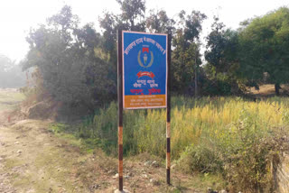 झारखंड बिहार सीमा पर नक्सली
