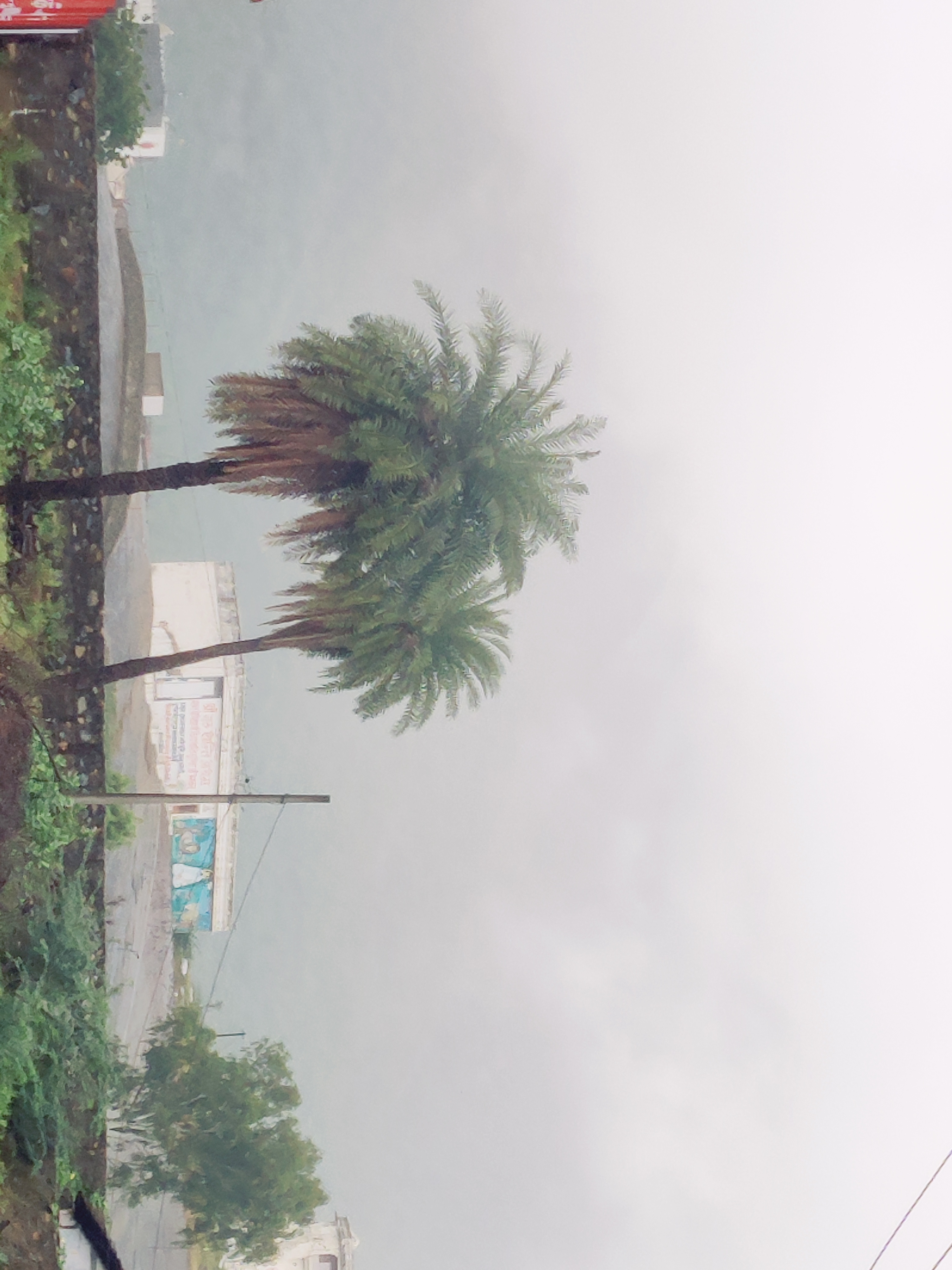 mount abu covered under fog