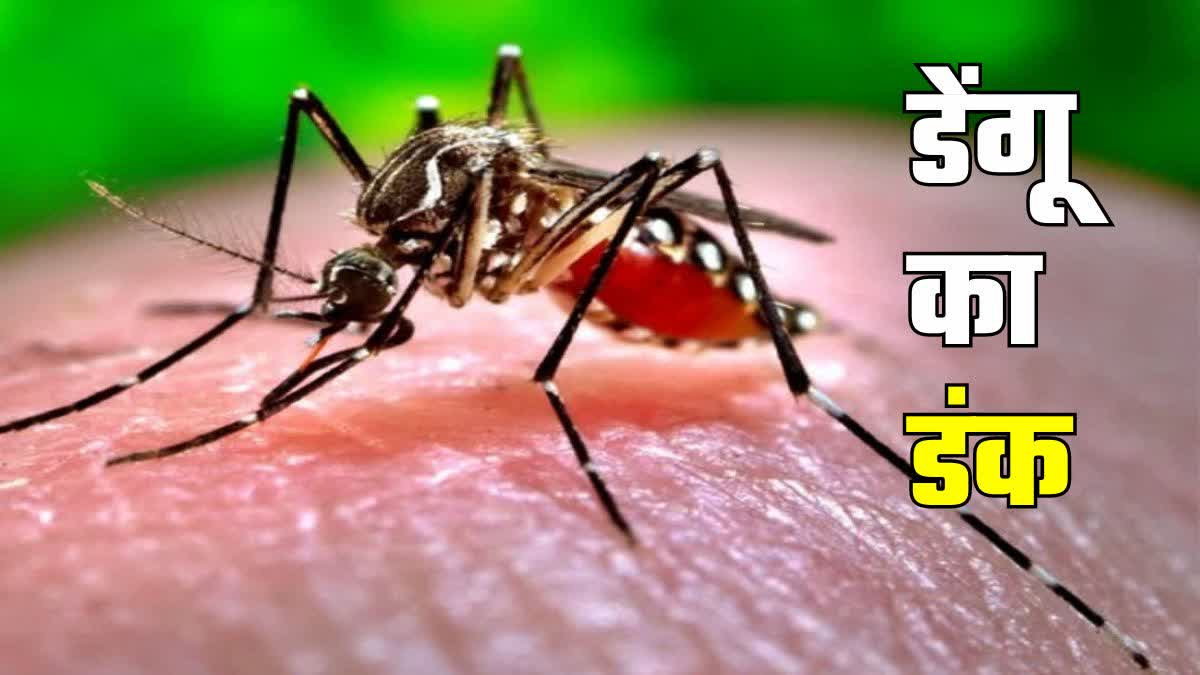 Dengue In Bihar