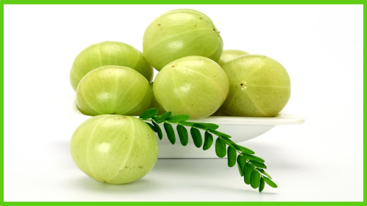 Amla Benefits News