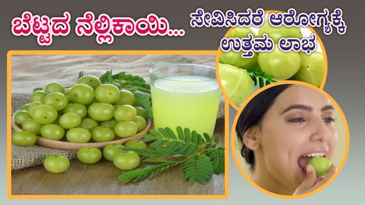 HEALTH BENEFITS OF AMLA  AMLA HEALTH BENEFITS IN Kannada  AMLA FOR GOOD HEALTH