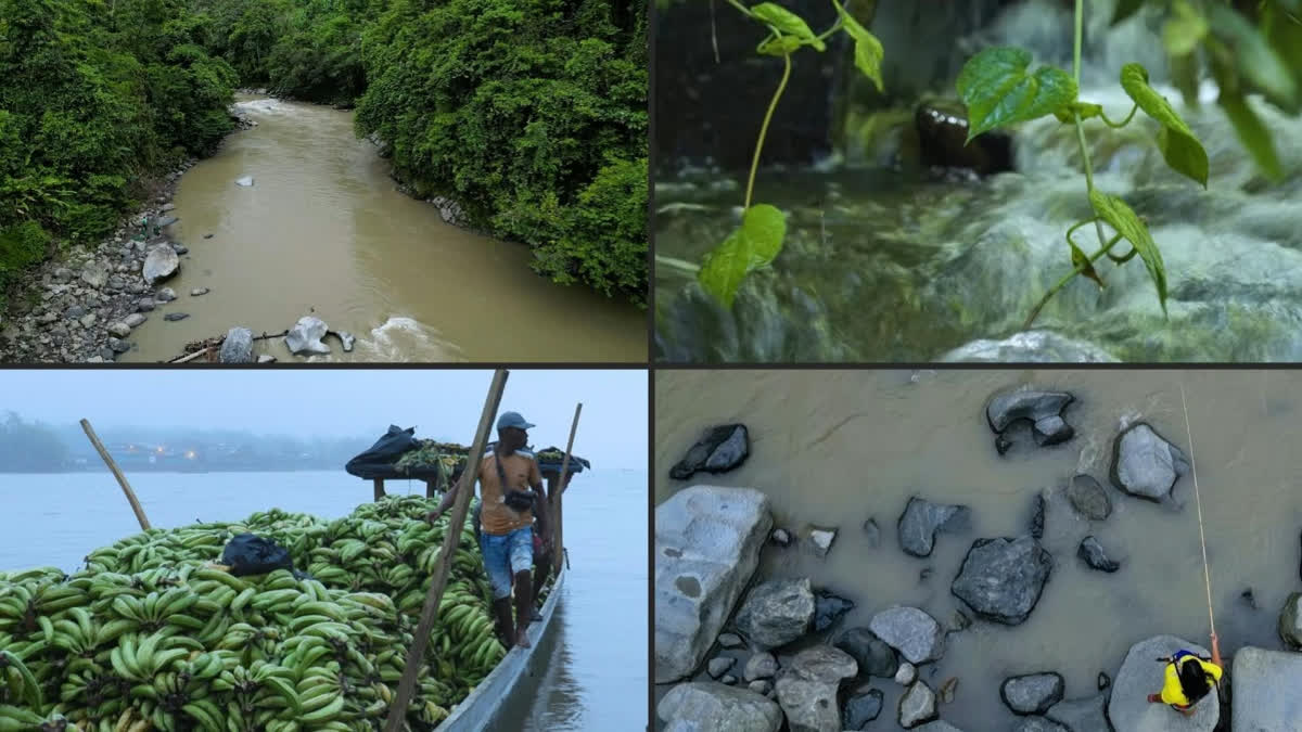 In Colombia, A River's 'Rights' Swept Away By Mining And Conflict