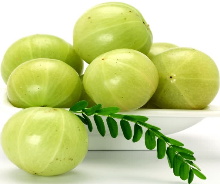 HEALTH BENEFITS OF AMLA  AMLA HEALTH BENEFITS IN Kannada  AMLA FOR GOOD HEALTH