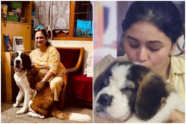 Ritabhari Dog Passes Away