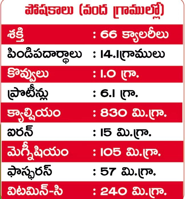 Curry Leaves Health Benefits