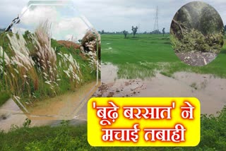 heavy-rain-season-bridge-fields-damaged-latehar