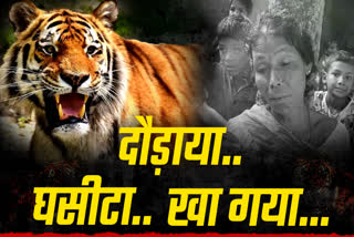 BIHAR TIGER ATTACK