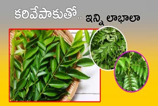 Health Benefits By using Curry Leaves in Daily Life