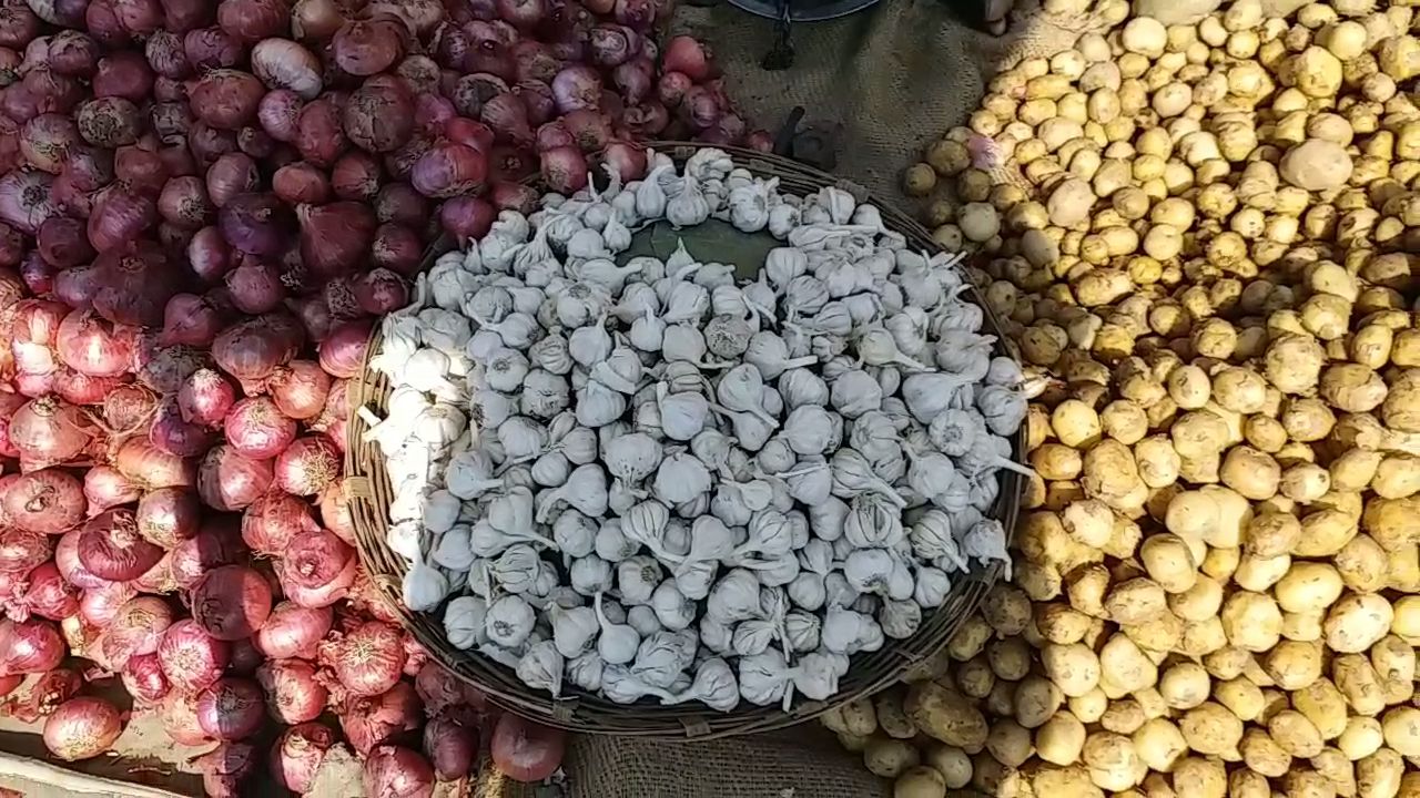 MP Farmers Garlic Cultivate