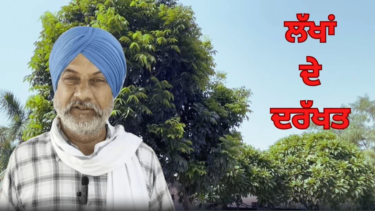 Farmer Sarwan Singh Mann Planted Trees In Amritsar