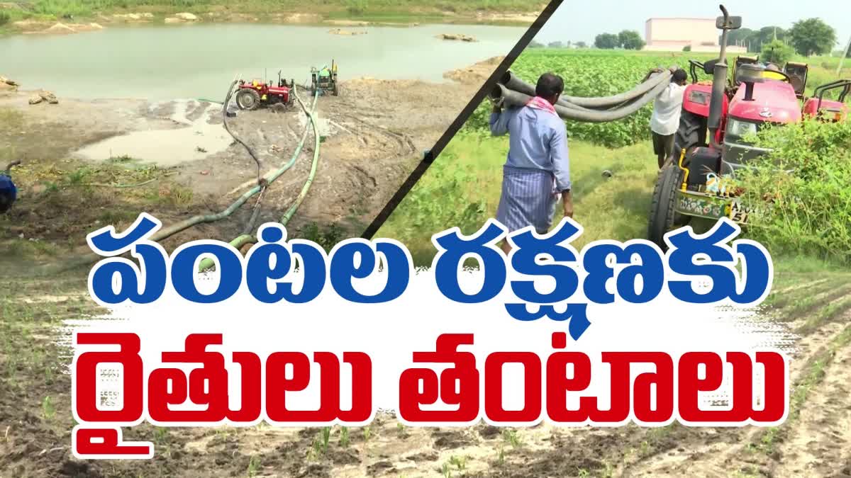 Crops Dying due to No Irrigation Water From Sagar