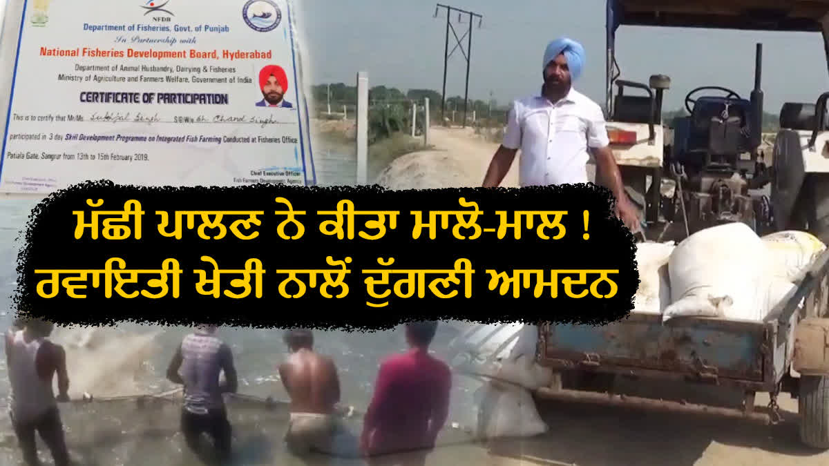 Fish Farming In Barnala