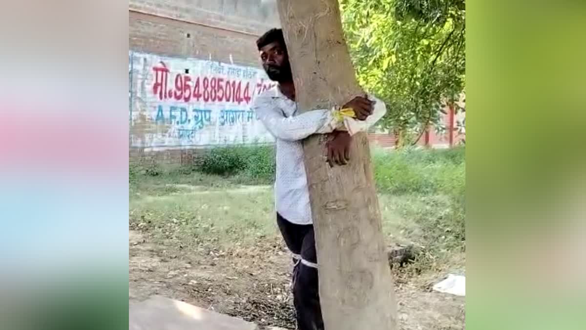 Group of People tied a young man to tree who stolen sack of millet