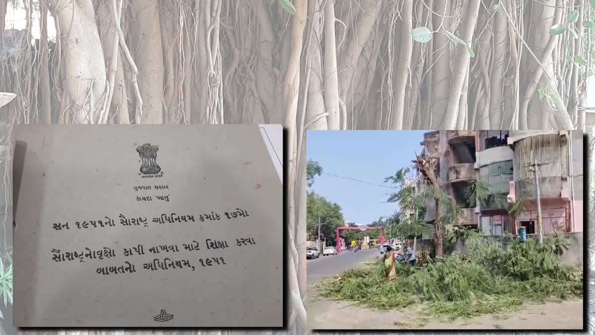 saurashtra tree felling act 1951