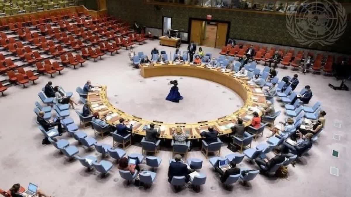 United Nations Security Council