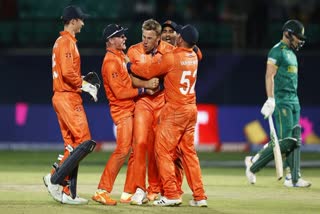 netherlands vs south africa match highlights