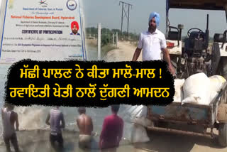 Fish Farming In Barnala