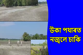 People of Bagribari in Rangia not celebrate Kati Bihu