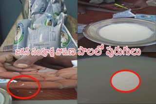 Anganwadi Milk in Sri Satyasai Disrict