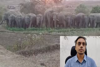 Khunti Villagers afraid of elephant terror