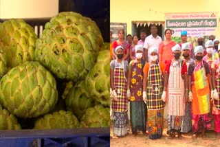 Custard Apple Processing Unit at Nawabupeta