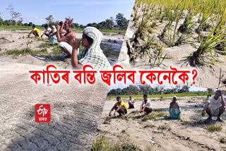 people from a village in narayanpur not celebrating kati bihu