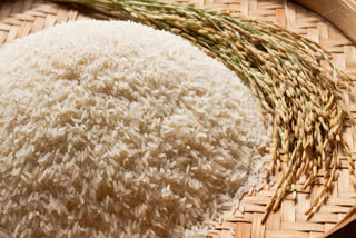 Rice Export