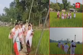 Kati Bihu 2023